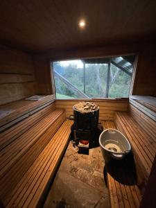 普孔Pucontours River Lodge的一间设有卫生间和窗户的桑拿浴室