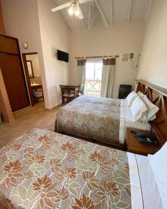 费德拉西翁Piedra de Agua的酒店客房设有两张床和一张桌子。