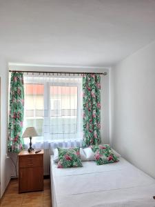 德兹维济诺Orka Wakacje的一间卧室设有两张床和窗户。