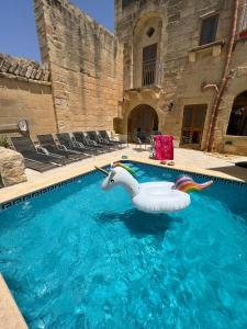 阿尔卜Birbuba House 2的水中充气天鹅的游泳池