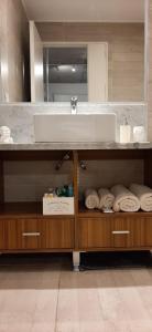 布宜诺斯艾利斯KaKtus Palermo Soho的浴室配有盥洗盆和带毛巾的台面。
