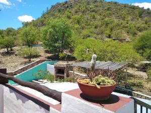 圣马科斯塞拉Kailash Posada的房子阳台上的盆子植物