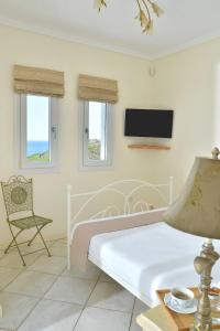 加夫里翁Andros Homes Sea Side Apartment & Studio的一间卧室配有一张床、一把椅子和电视