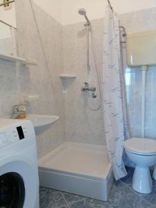 普特尼科维奇Apartments by the sea Cove Pjestata, Peljesac - 12381的带淋浴、卫生间和盥洗盆的浴室