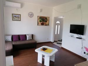 西利皮Apartments with a parking space Mocici, Dubrovnik - 12856的客厅配有沙发和桌子