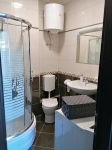 西利皮Apartments with a parking space Mocici, Dubrovnik - 12856的浴室配有卫生间、盥洗盆和淋浴。