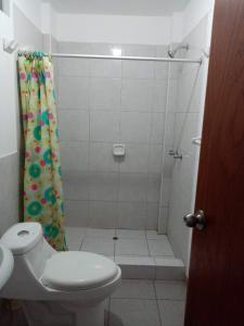 塞鲁阿苏尔Departamentos Cerro Azul P2的带淋浴、卫生间和浴帘的浴室