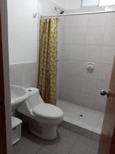 塞鲁阿苏尔Departamentos Cerro Azul P2的白色的浴室设有卫生间和淋浴。