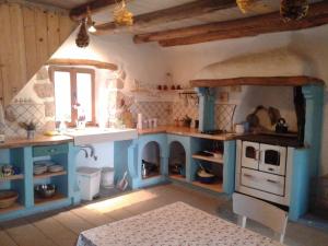 FilozićiApartments with a parking space Porozina, Cres - 14980的厨房配有蓝色橱柜和水槽
