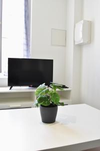 贝尔热拉克T2 Grand Espace calme et confort的坐在电视机前桌子上的植物