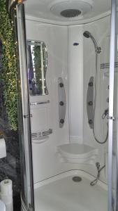 HammarlandParadiset的带淋浴和盥洗盆的浴室