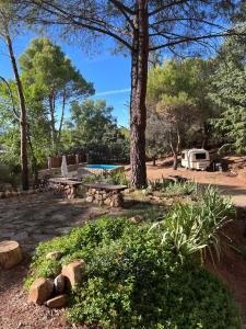 UcedaStone Garden, Casa en plena naturaleza的一个带野餐桌和树的公园