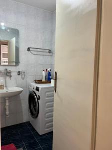 波德戈里察Gorica hill apartment的一间带洗衣机和水槽的浴室
