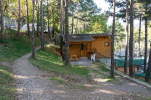 萨尔德斯Bungalows del Camping Pedraforca的树林中的小木屋,有一条通往小木屋的路径