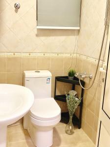 哈萨Entire apartment的浴室配有白色卫生间和盥洗盆。