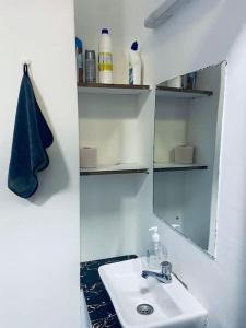 纳纽基Arabel Studio Apartment的白色的浴室设有水槽和镜子