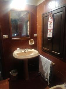 SillicoLa casa del pozzo的一间带水槽和镜子的浴室
