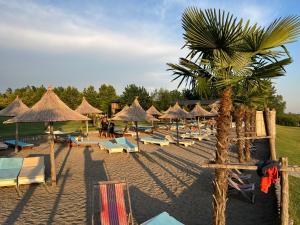 Grilë斯库台湖度假酒店的海滩上摆放着椅子和遮阳伞,还有棕榈树