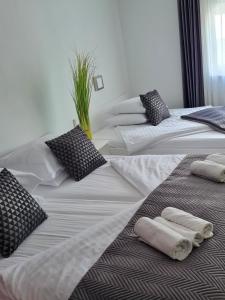 卢布尔雅那AZUR ROOMS LJUBLJANA的客房内的两张床和枕头