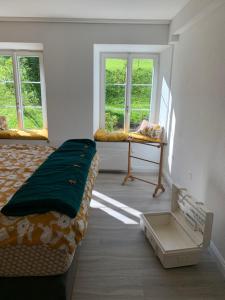 TrogenAllegra Appenzell的卧室配有床、桌子和窗户。