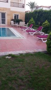 亚历山大Relaxation Villa with private pool的一组躺椅,位于游泳池旁