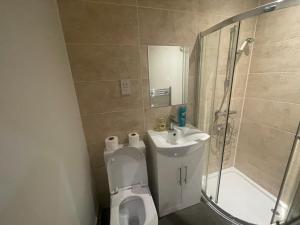 伦敦Lovely 1 bedroom apartment with on street parking的浴室配有卫生间、盥洗盆和淋浴。