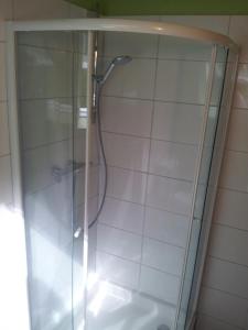 斯帕新城堡酒店的浴室里设有玻璃门淋浴