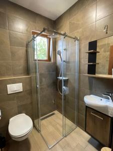 大格拉迪什泰ATOS Srebrno jezero - Villa and Restaurant的带淋浴、卫生间和盥洗盆的浴室