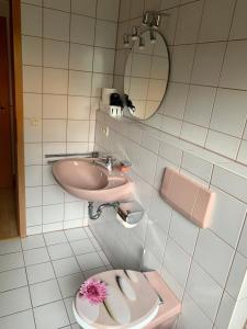 奥斯特拉赫Einladendes Appartement im Grünen für 2 Personen的一间带水槽、卫生间和镜子的浴室