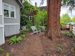 西雅图Modern Craftsman Garden Patio in Georgetown的房子旁有长凳的树