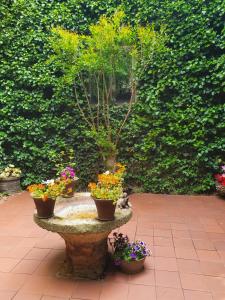 梅迪纳塞利Casa Palaciega El Cuartel的喷泉上放着三株盆栽植物和花