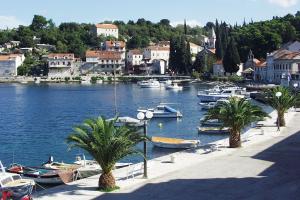 拉茨斯切Apartments by the sea Racisce, Korcula - 161的一群船停靠在港口