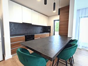 克卢日-纳波卡Ira Premium Apartment Cluj的厨房配有黑桌和绿色椅子
