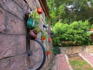 康提弗拉玛康提酒店的挂在墙上的装有植物的自行车