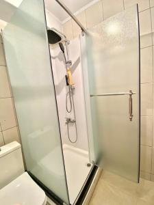 普里什蒂纳Nesi apartmenti的浴室里设有玻璃门淋浴