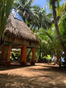 小玉米岛ENSUEÑOS NATURAL RESERVE Little Corn Island Nicaragua的草屋顶和棕榈树小屋