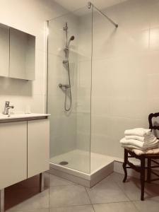 蒙彼利埃Studio climatisé dans un ancien domaine viticole的带淋浴的浴室和玻璃门
