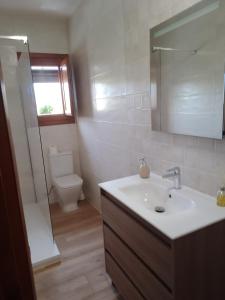 鲁比罗德莫拉Casa El Caminero的一间带水槽、卫生间和镜子的浴室