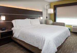 埃尔帕索Holiday Inn Express & Suites - El Paso North, an IHG Hotel的一间设有大床和窗户的酒店客房
