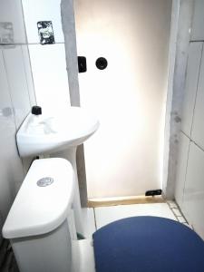 戈亚斯州上帕莱索hostel Lobeira的一间带卫生间和水槽的小浴室
