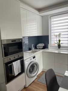 尼赖吉哈佐BRL Apartman的厨房配有洗衣机和水槽