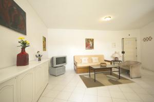 波尔蒂芒坎蒂罗查米拉索尔公寓的带沙发和电视的客厅