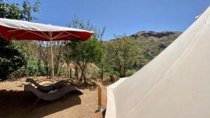 贝加德圣马特奥The Orchard Retreat的一个带椅子和遮阳伞的白色帐篷