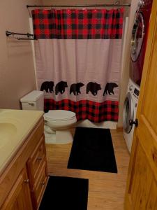 阿什维尔The Barn的浴室设有卫生间和格子淋浴帘