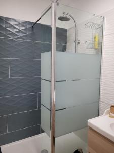 阿维尼翁Avignon : Appartement le in et off的带淋浴的浴室和玻璃门