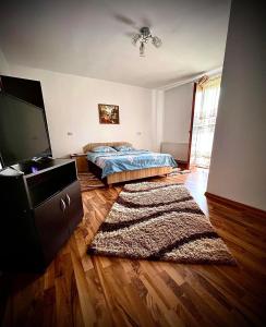Statjunea BorsaCasa Viorica的一间卧室配有一张床、一台电视和一张地毯。