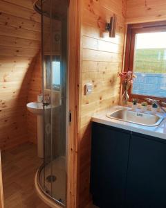GilnahirkThe Pods at Streamvale的带淋浴和盥洗盆的浴室