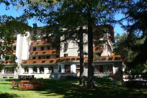 巴多尼奇亚德斯杰尼酒店的前面有树木的白色大建筑