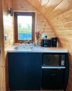 GilnahirkThe Pods at Streamvale的小屋内的厨房配有微波炉和水槽