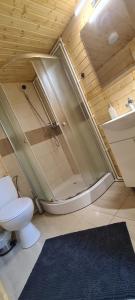 阿尔杰什河畔库尔泰亚Baltina Parc Transfagarasan的带淋浴和卫生间的浴室